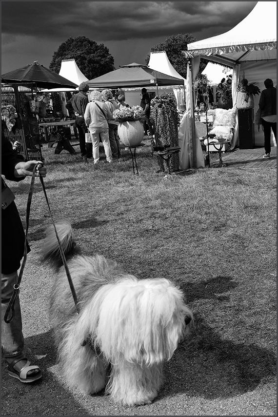 British Weekend at Castle Vorden 2025
